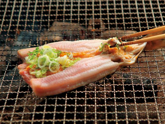 炉ばたちどり
