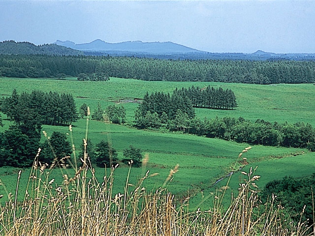 帯広市八千代公共育成牧場の画像 4枚目
