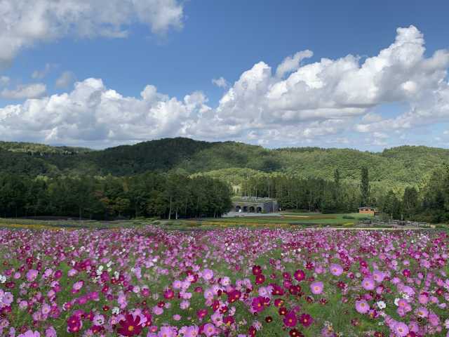 国営滝野すずらん丘陵公園