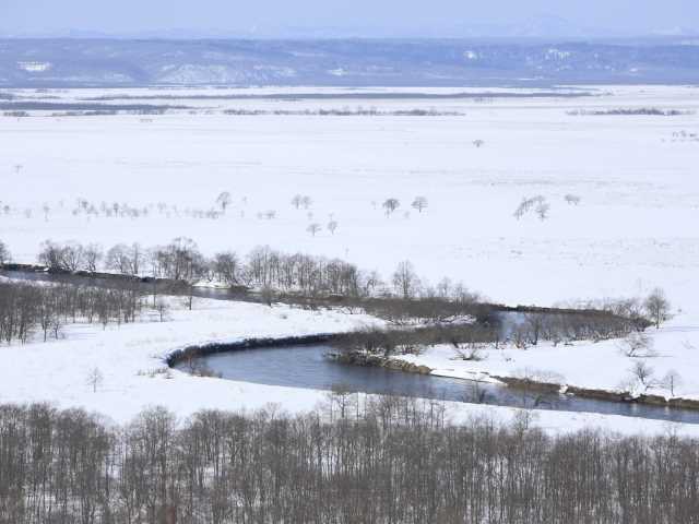 釧路湿原の画像 2枚目