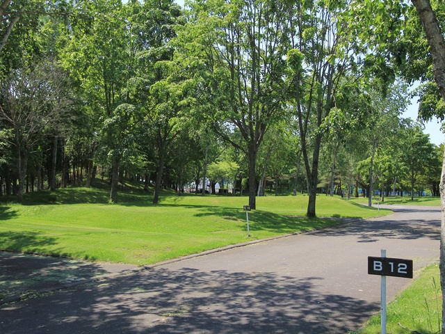 ながぬまマオイオートランドの画像 3枚目