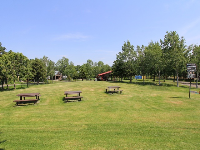 ながぬまマオイオートランドの画像 4枚目