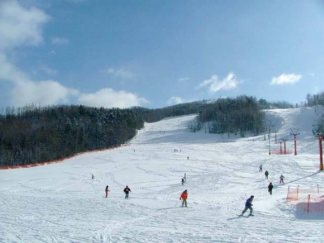 日高国際スキー場