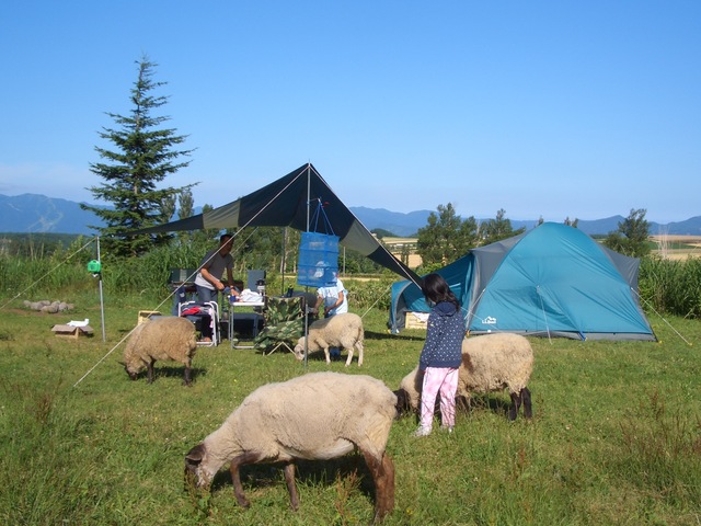星に手のとどく丘キャンプ場の画像 1枚目
