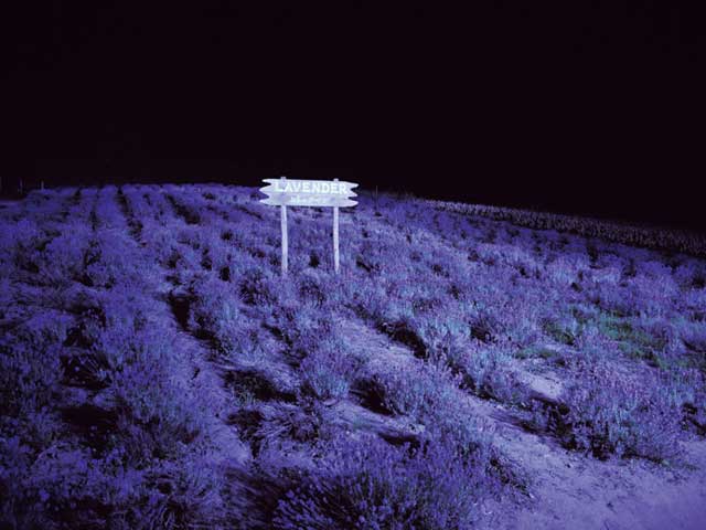 ふらのぶどうヶ丘公園の画像 4枚目