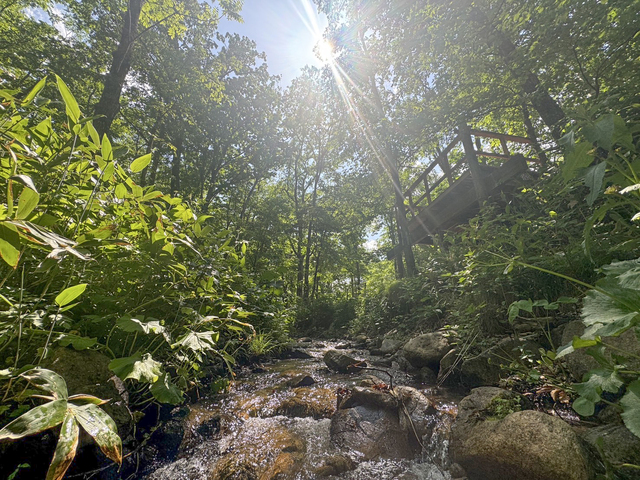 隠れ家的オートキャンプ場「遊び小屋コニファー」の画像 4枚目