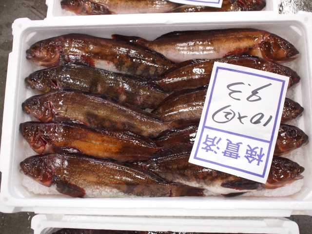 函館市水産物地方卸売市場(見学)の画像 4枚目