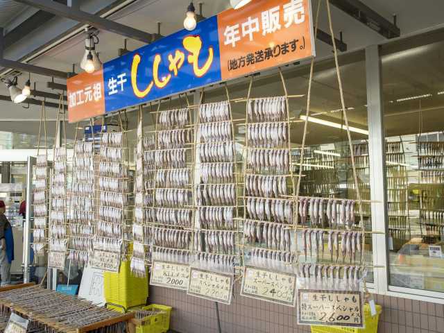 カネダイ大野商店