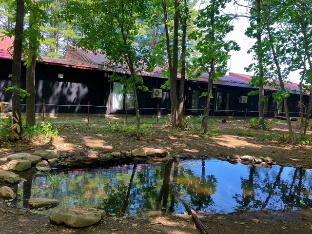 ピュットの森の画像 1枚目