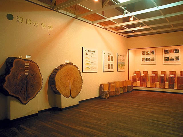 洞爺湖森林博物館