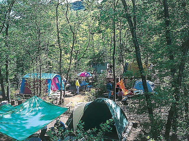 清和県民の森キャンプ場(キャンプ場)の画像 3枚目