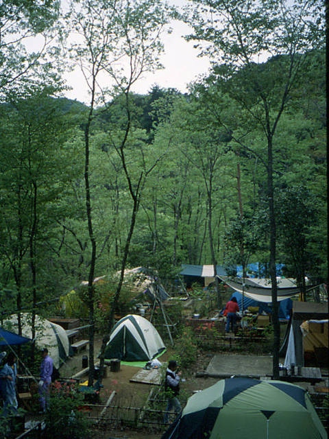 清和県民の森キャンプ場(キャンプ場)