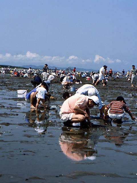 富津海岸潮干狩場の画像 1枚目
