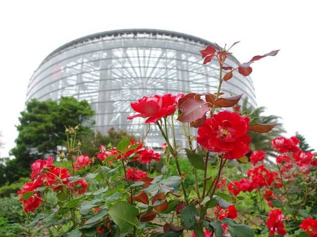 三陽メディアフラワーミュージアム(花の美術館)