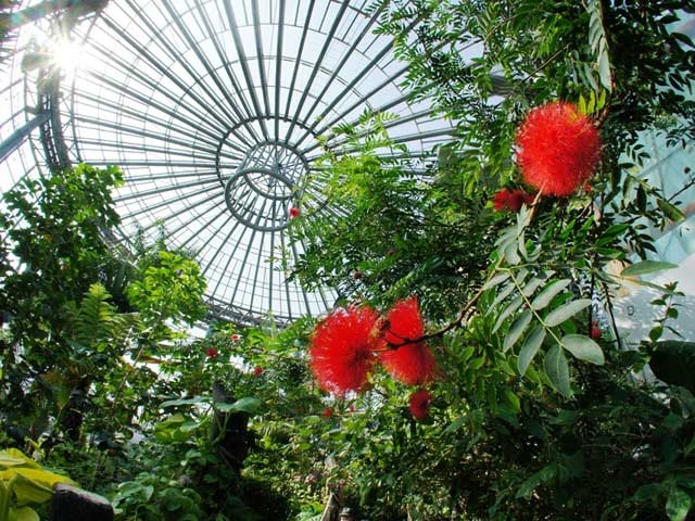 三陽メディアフラワーミュージアム(花の美術館)