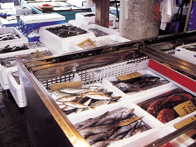 館山船形漁業協同組合直営 ふれあい市場