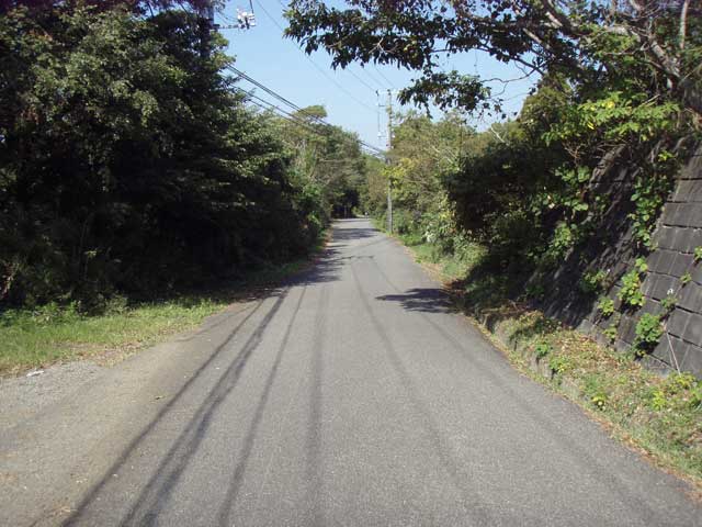 嶺岡中央林道