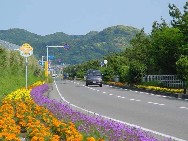 房総フラワーラインの画像 1枚目