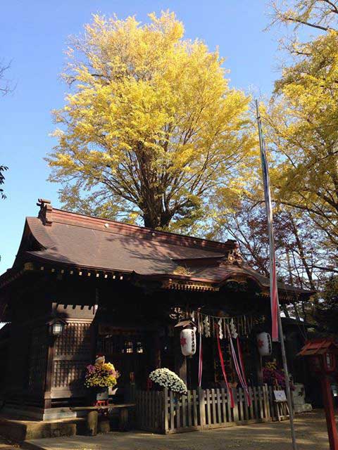 麻賀多神社の画像 3枚目