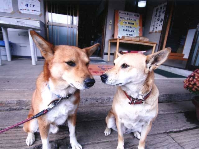 かずさオートキャンプ場