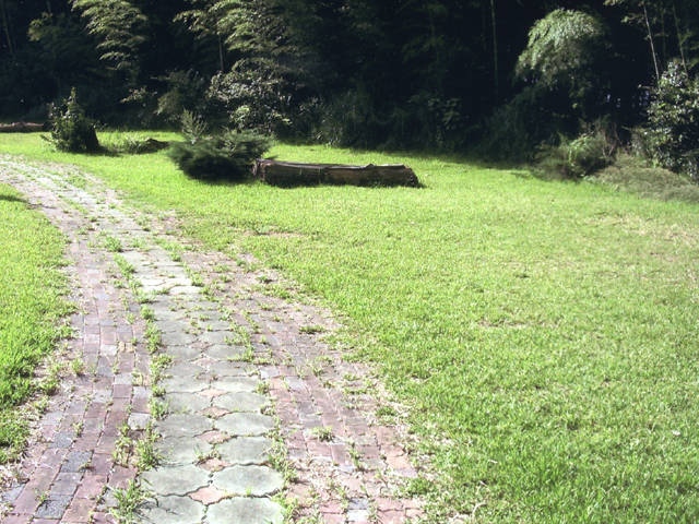 グリーンファームおおたき戸田オートキャンプ場