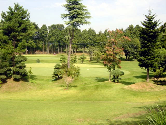 白井ゴルフ林間コースの画像 3枚目