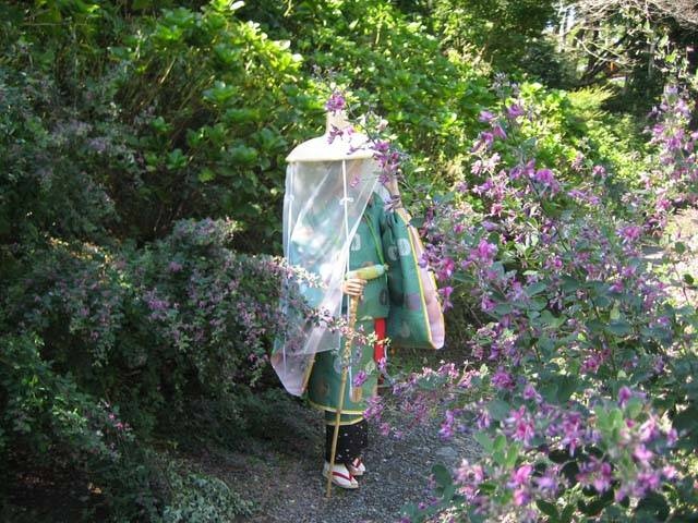 花野辺の里