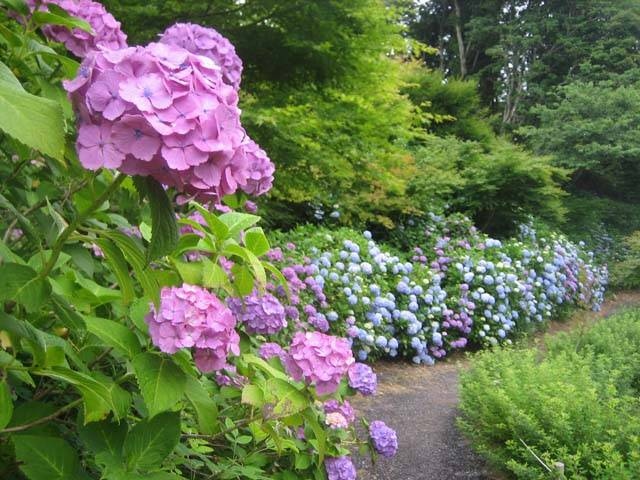 花野辺の里