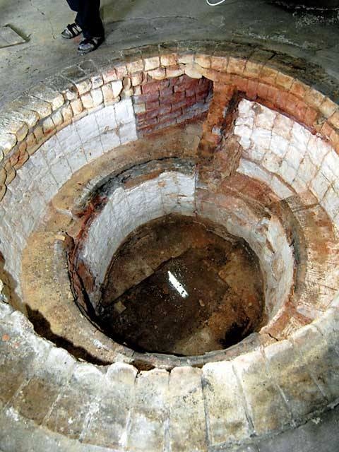 吉野酒造(清酒 腰古井)(見学)の画像 3枚目