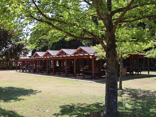 The Farmの画像 1枚目