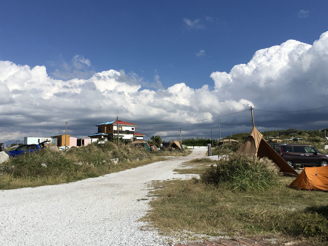 お台場海浜庭園の画像 4枚目