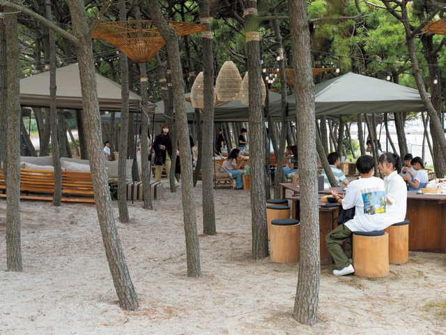 いなげの浜 海へ延びるウッドデッキの画像 2枚目