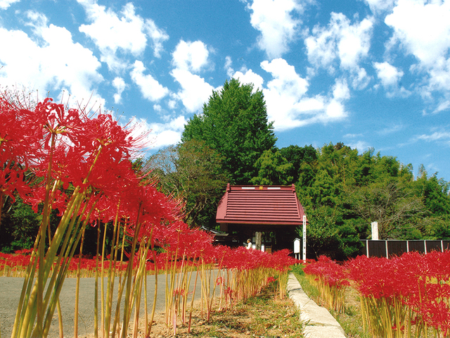 結縁寺の画像 1枚目