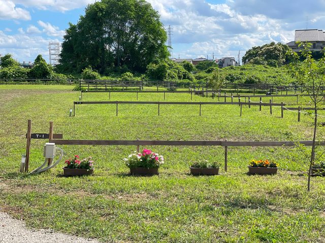 Wonderful Garden 柏オートキャンプ場の画像 2枚目