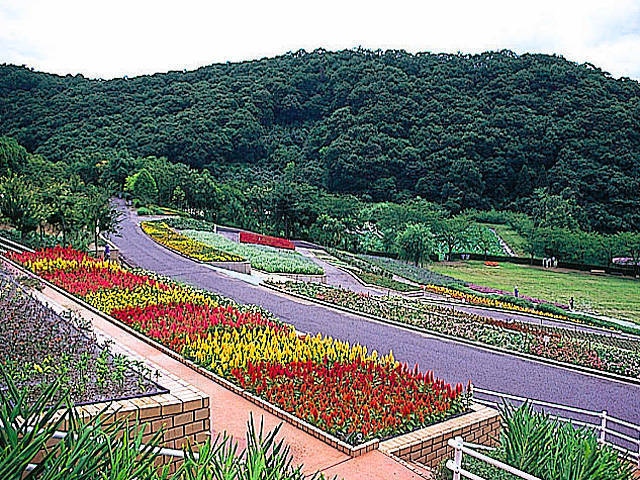 和歌山県植物公園緑花センターの画像 4枚目