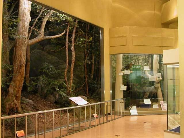 和歌山県立自然博物館の画像 4枚目