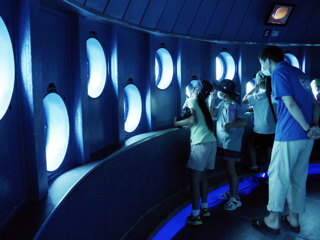 串本海中公園の画像 3枚目