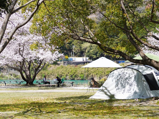 向平キャンプ村の画像 2枚目