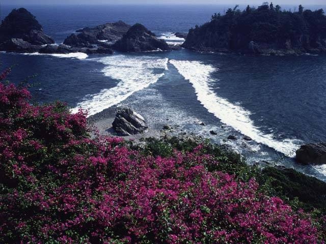 すさみ八景の画像 4枚目