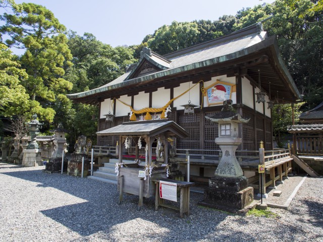 闘鶏神社の画像 3枚目
