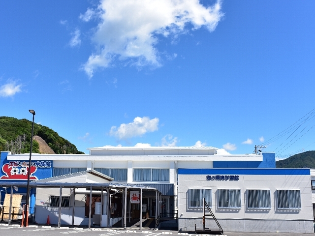 すさみ町立 エビとカニの水族館の画像 2枚目