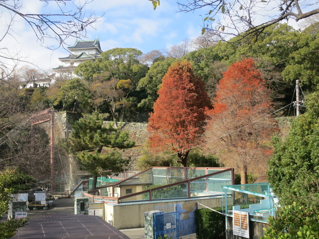 和歌山城公園動物園の画像 1枚目