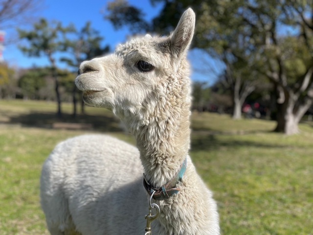和歌山城公園動物園の画像 2枚目