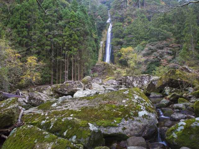 宝竜の滝