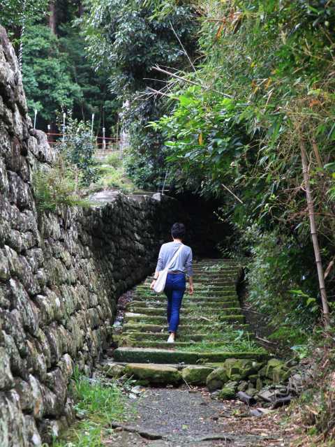 大辺路富田坂の画像 2枚目