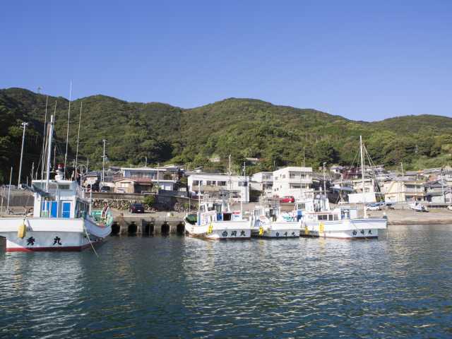 白崎クルーズ