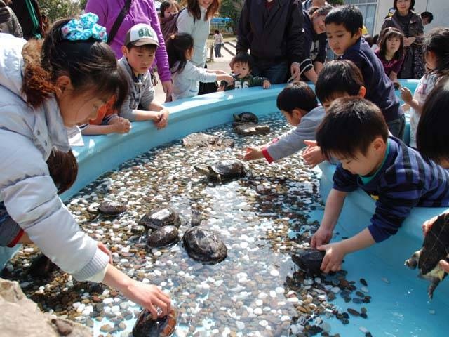 さいたま水族館
