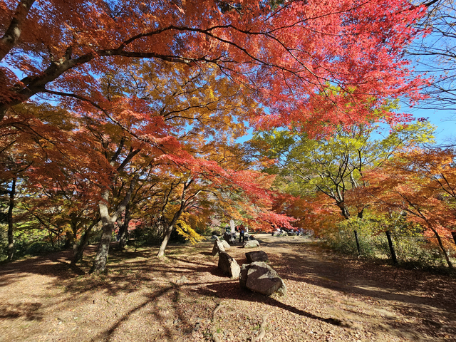 嵐山渓谷の画像 4枚目