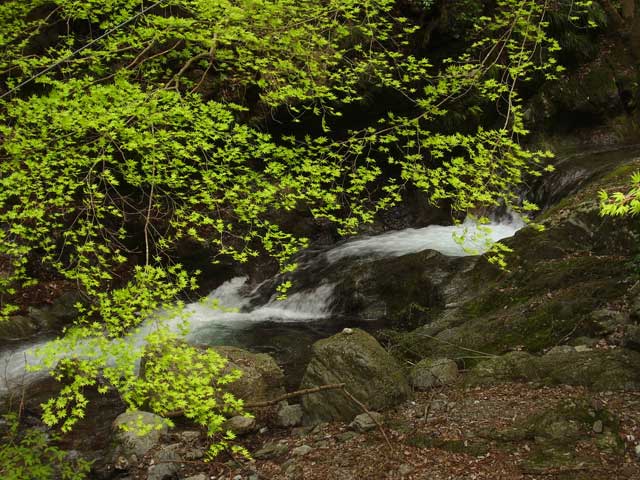 入間川の画像 1枚目