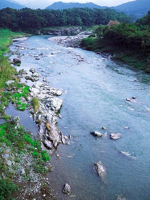 岩畳の画像 1枚目